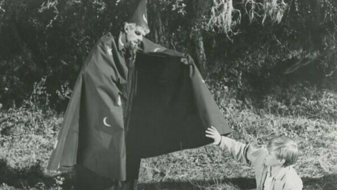 The Princess and the Magic Frog