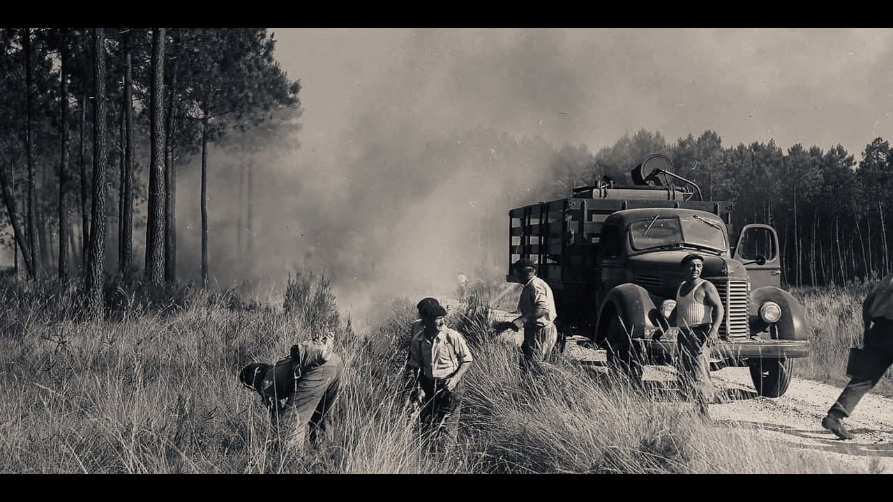 1949 : le Grand feu