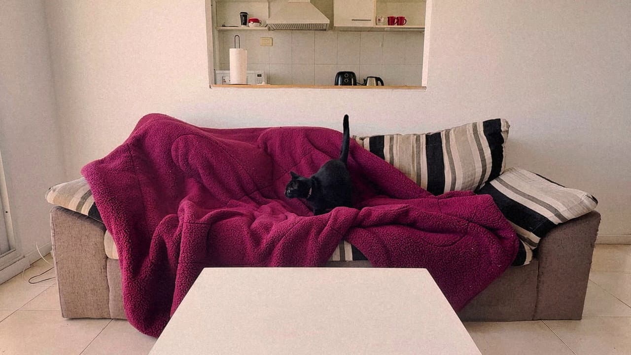 Retrato de un sillón