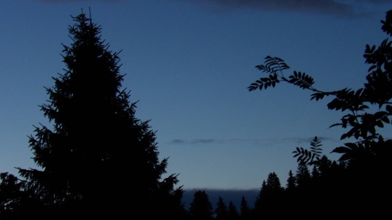 The Blue Hour