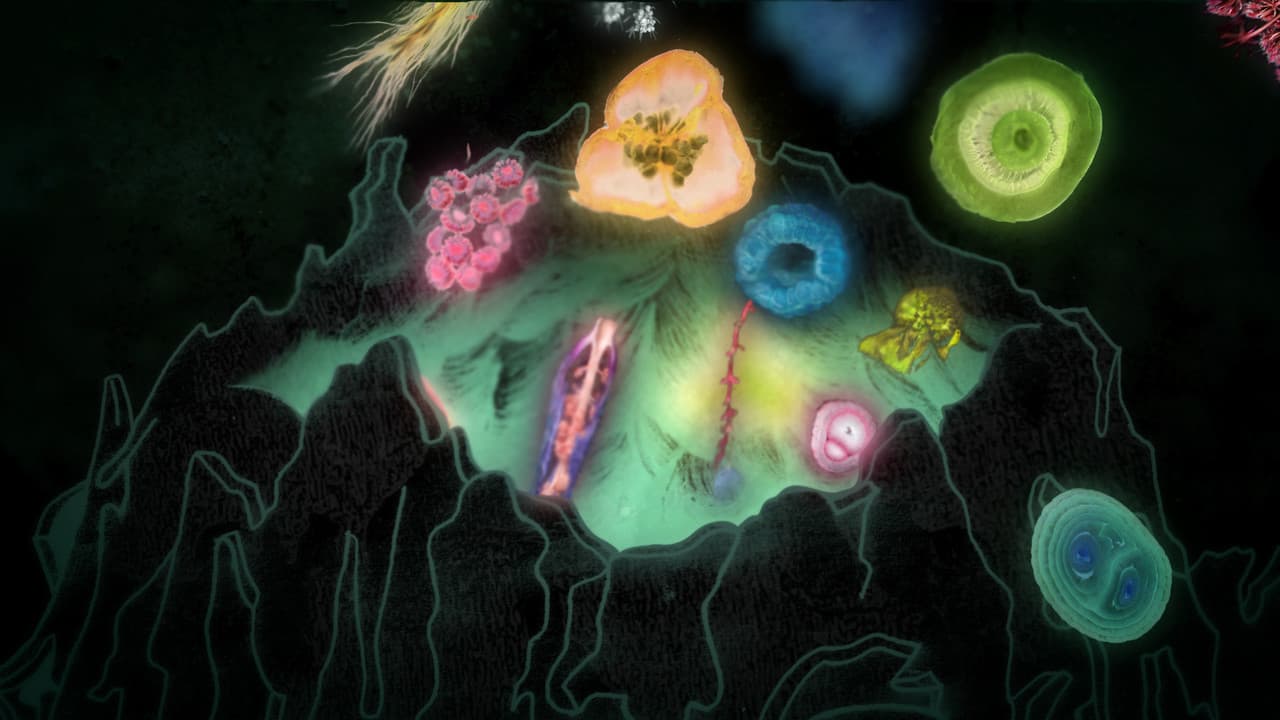 Protozoa