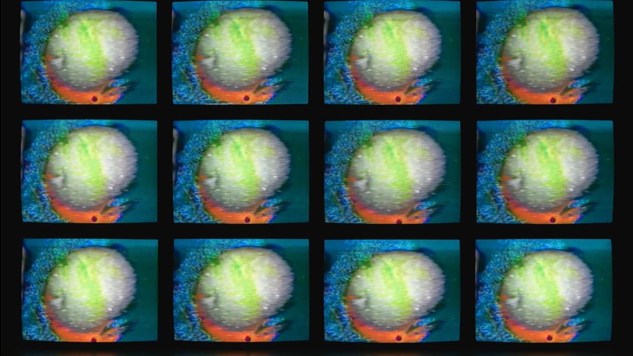 Matrix II