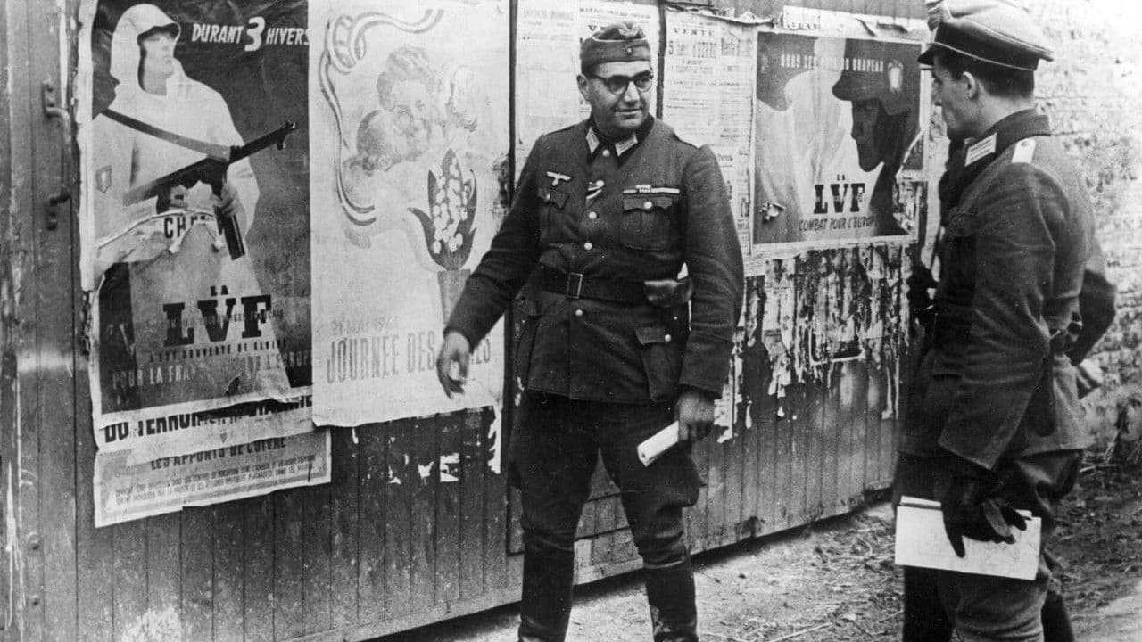 French Soldiers of the Third Reich