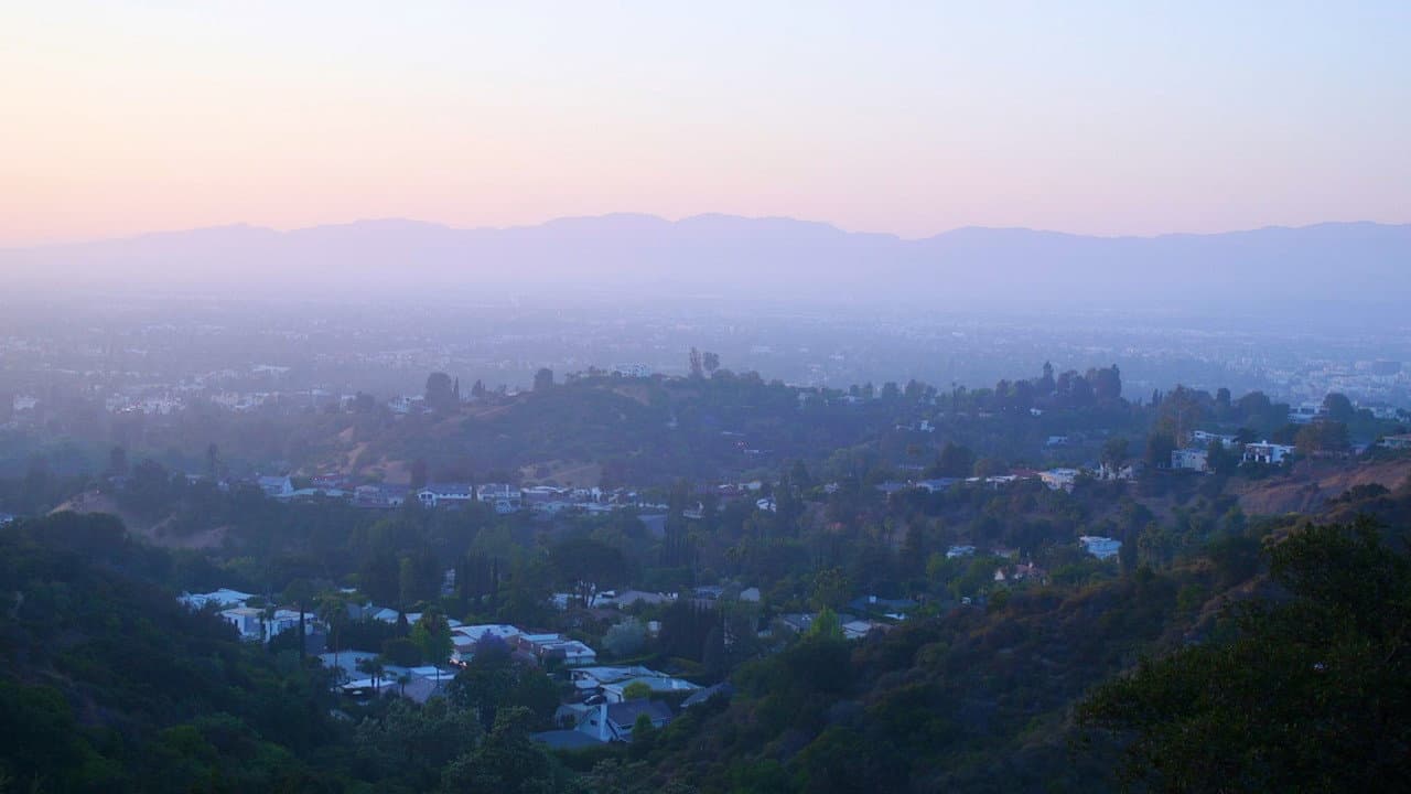 California Schemin'
