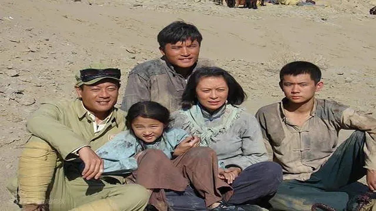 戈壁母亲