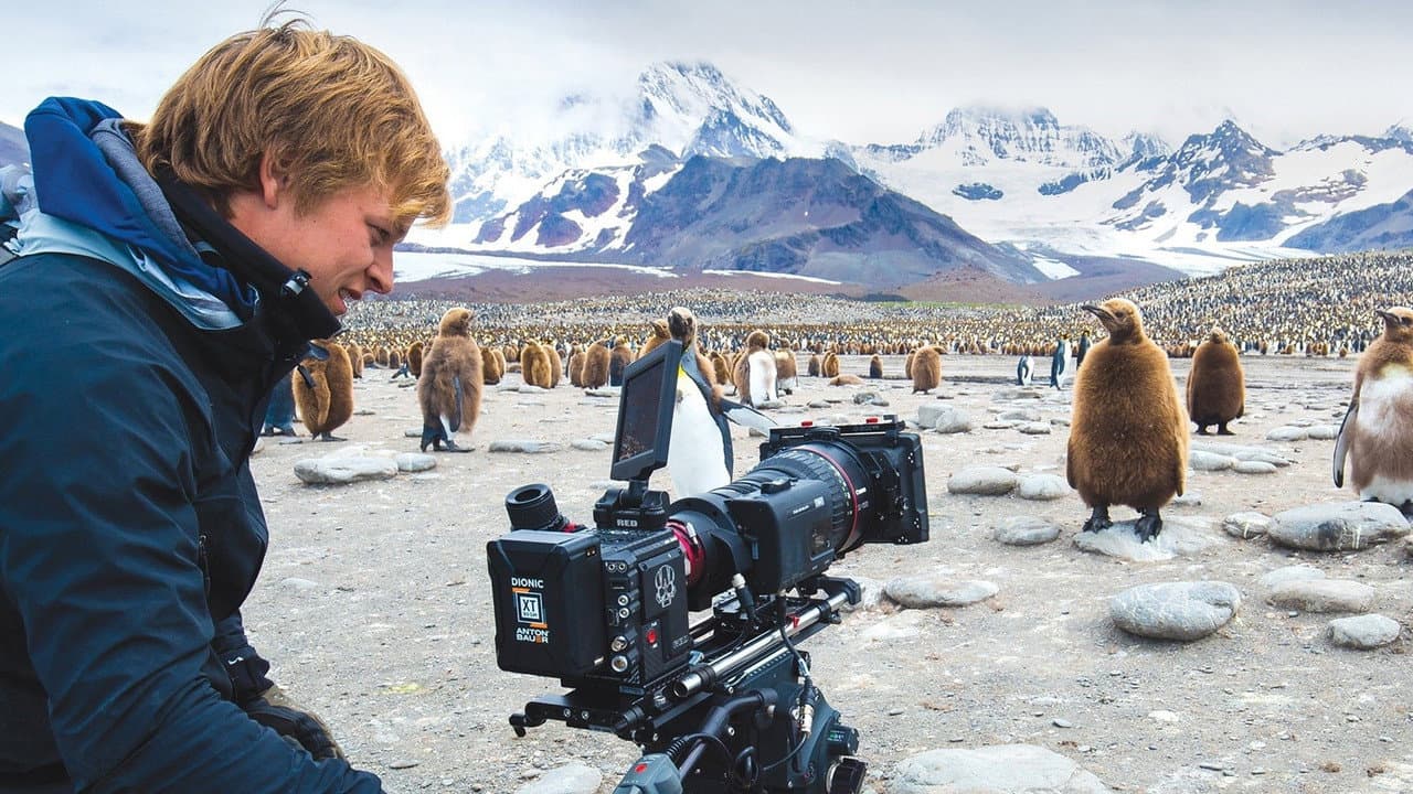 Wild Life with Bertie Gregory