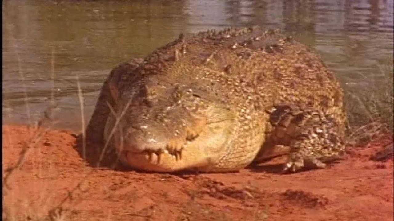 Life In Broome