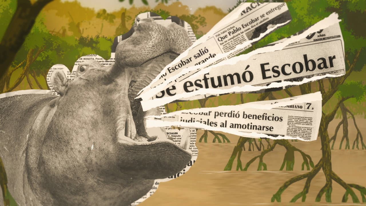 Mi casa es su casa