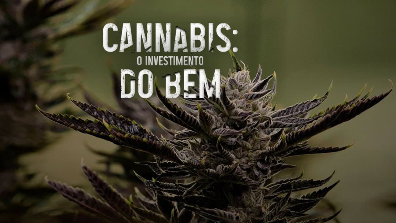 Cannabis: O Investimento do Bem