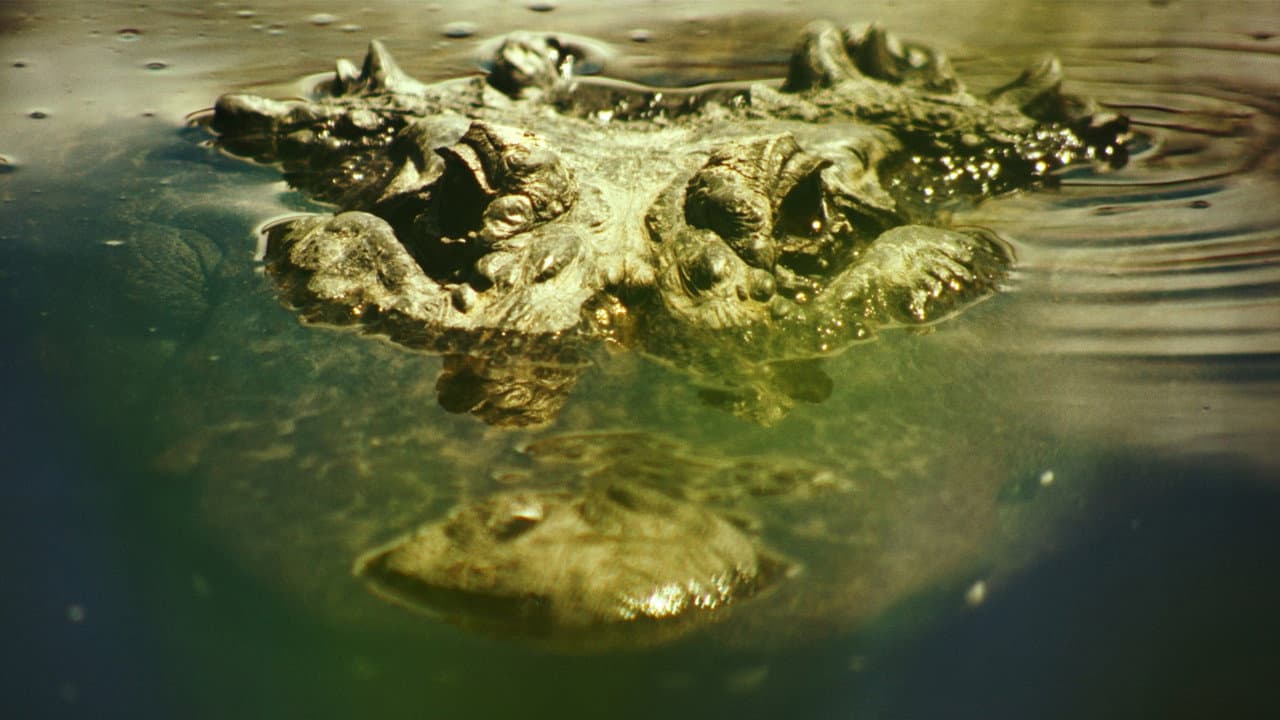Gatorville