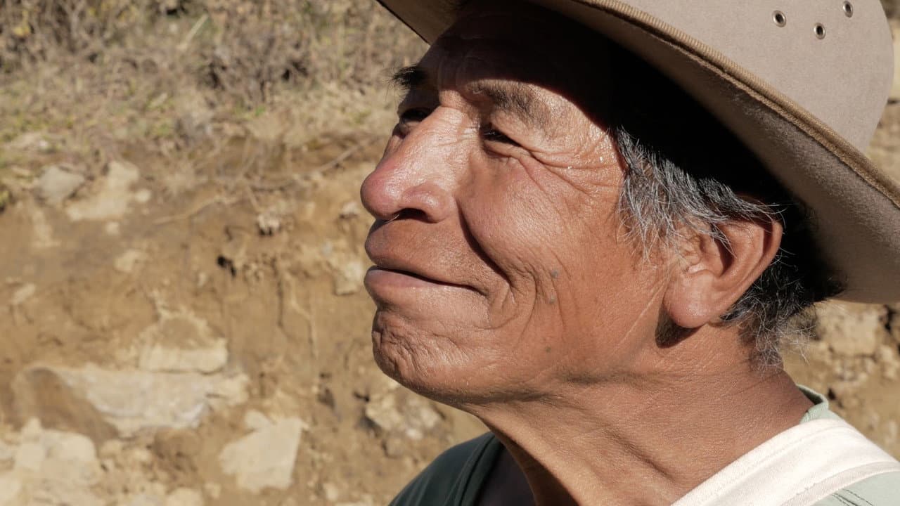 Conexión: Huachuma