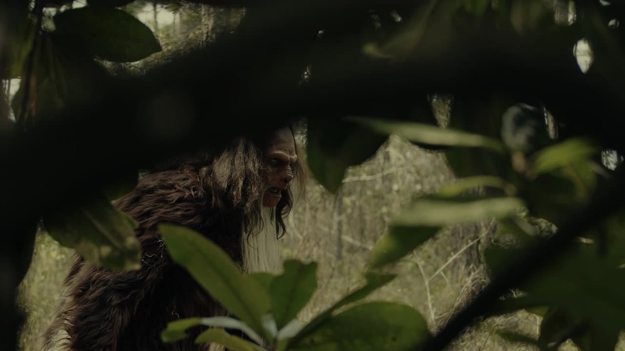 Sighting