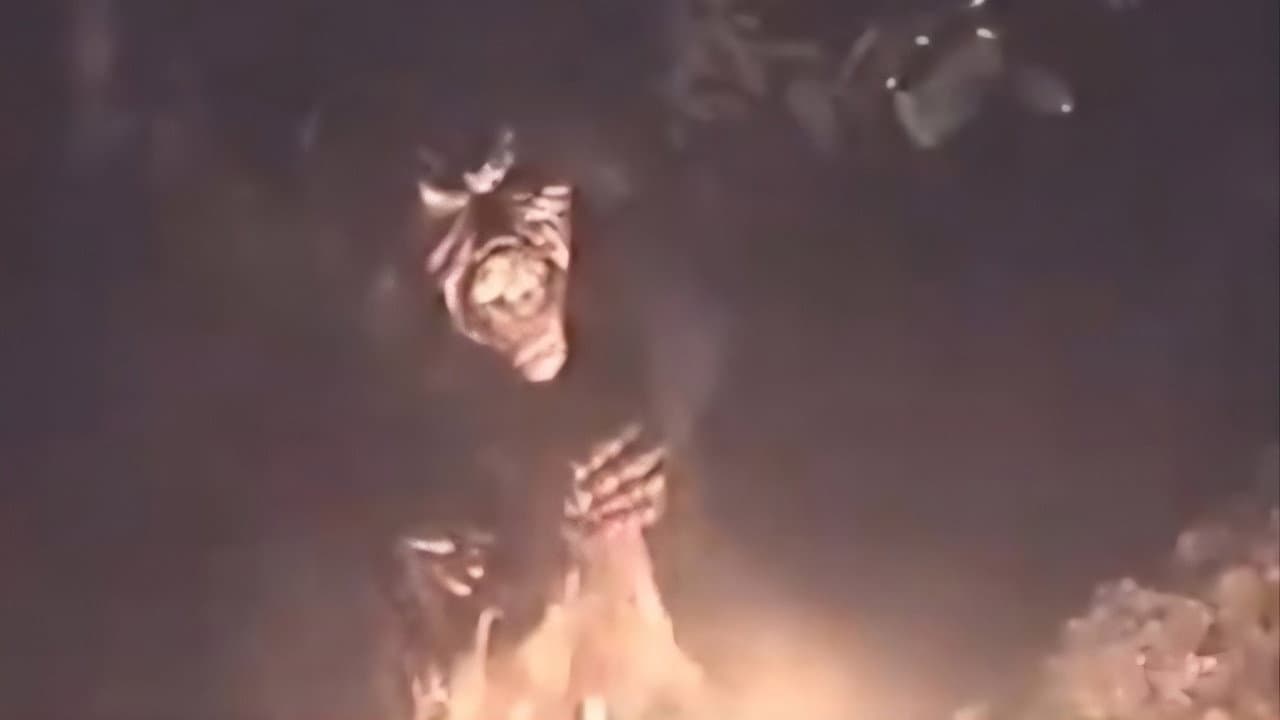 Misteri Bondowoso