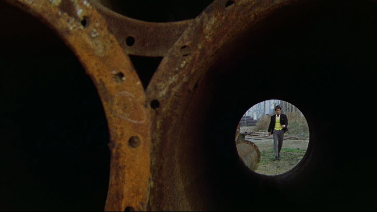 Return of Gun Dog