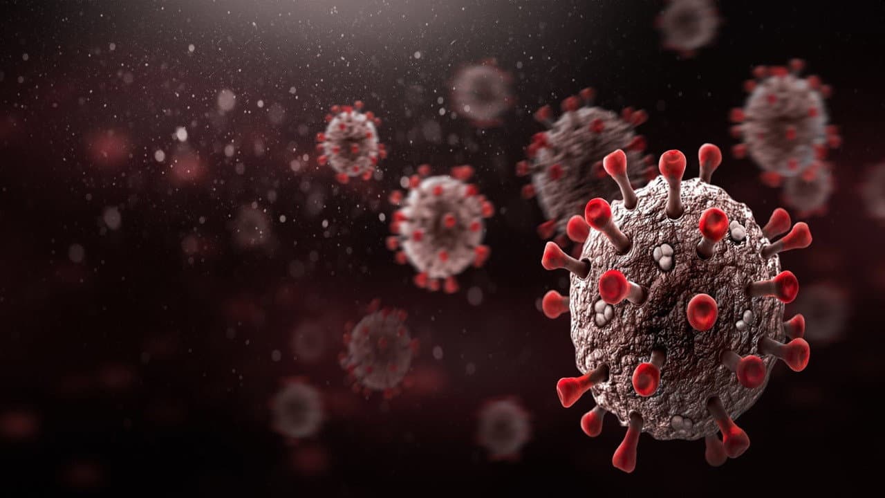 COVID-19 Outbreak: Minute by Minute