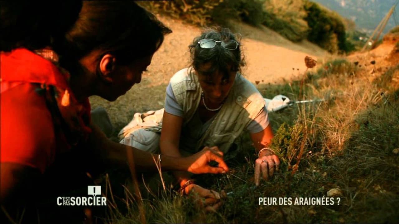 Episode 527