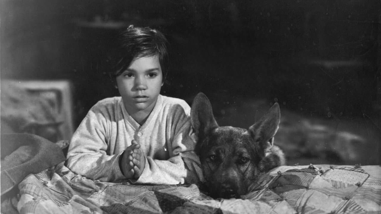 Sign of the Wolf
