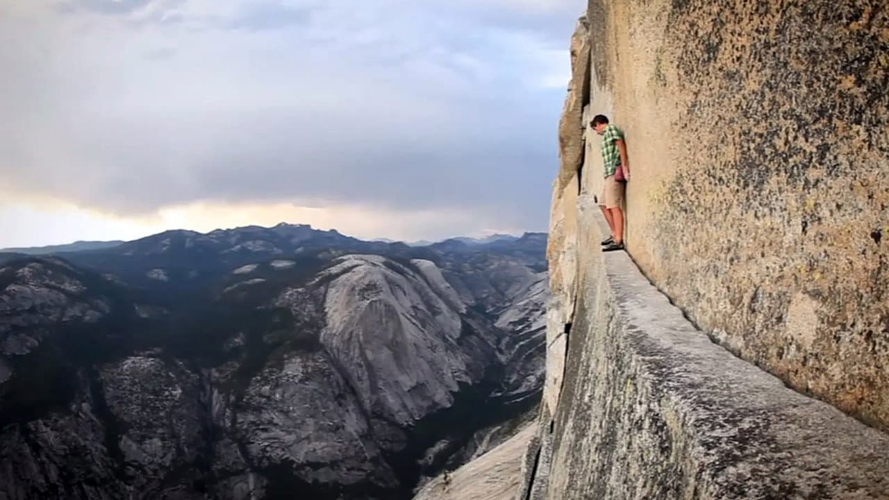 Alone On The Wall