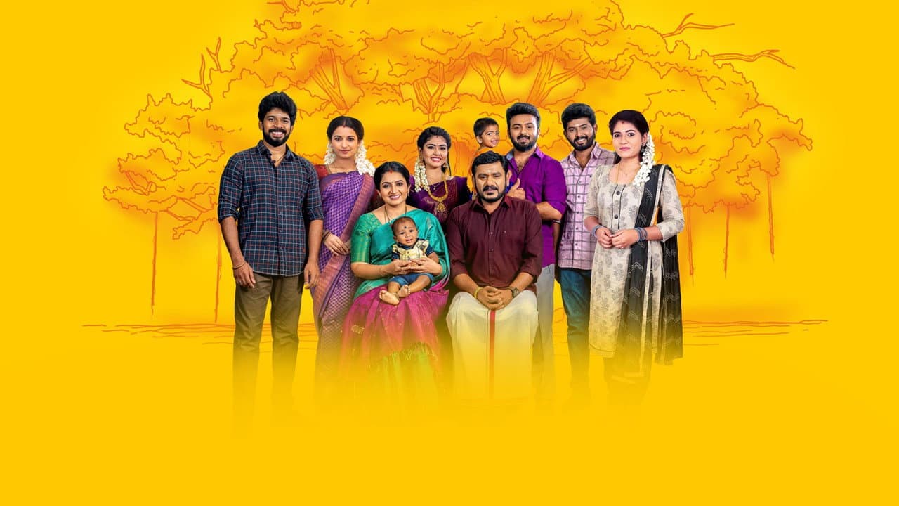 Pandiyan Stores