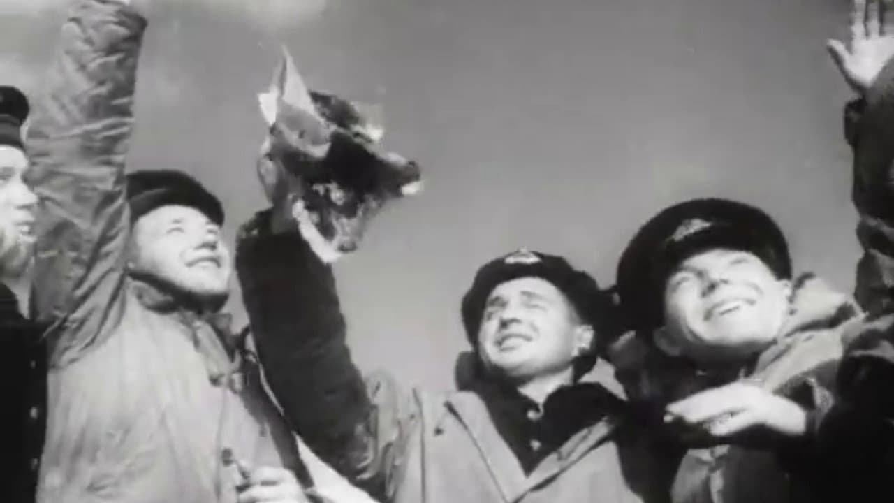 Naval Scouts