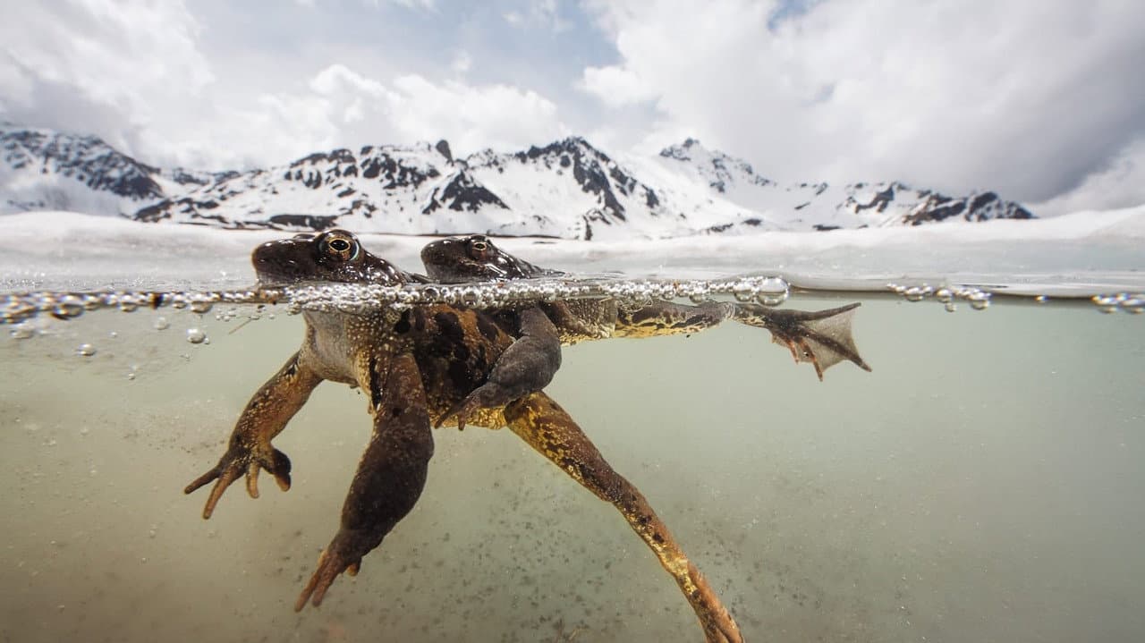 Le plus beau pays du monde : Le Sanctuaire