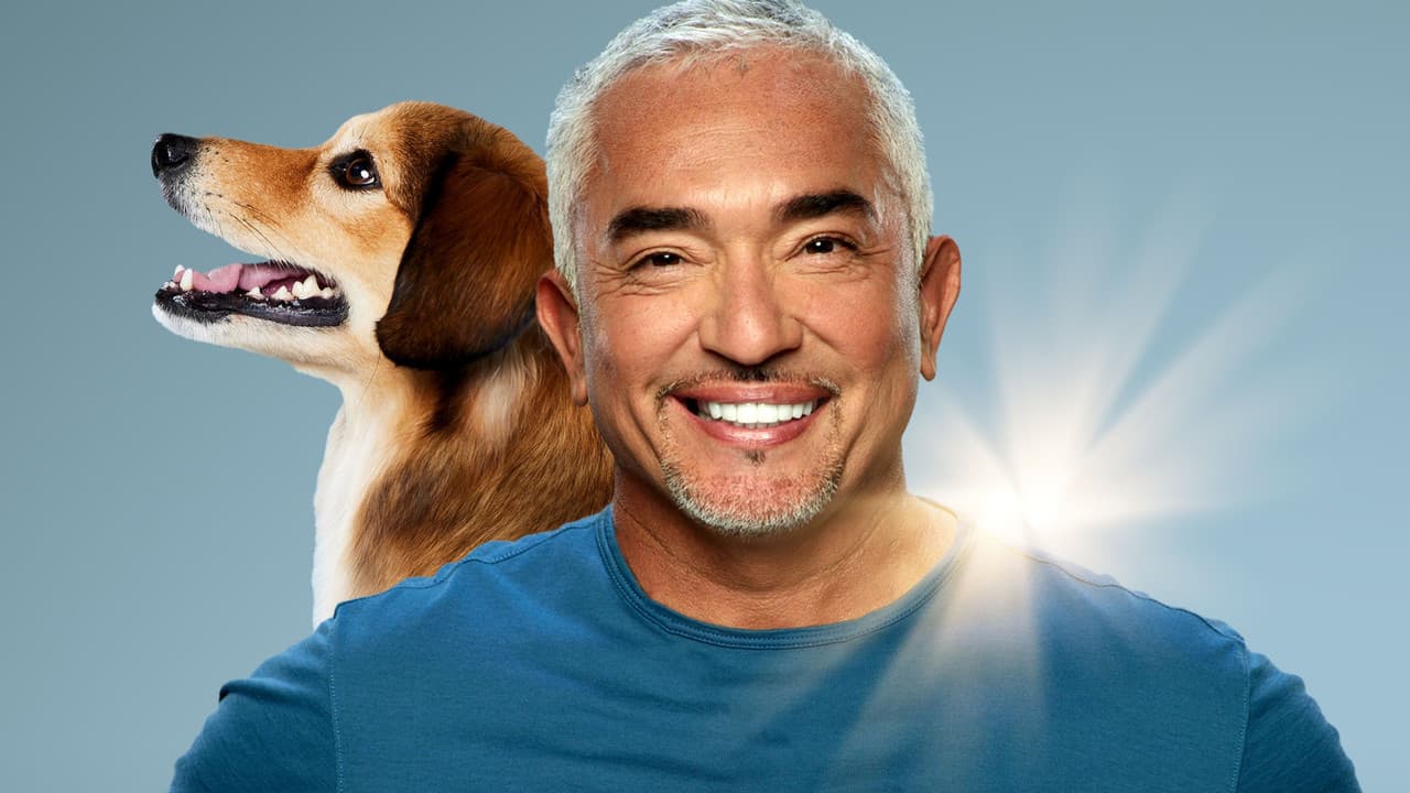 Cesar Millan: Better Human, Better Dog
