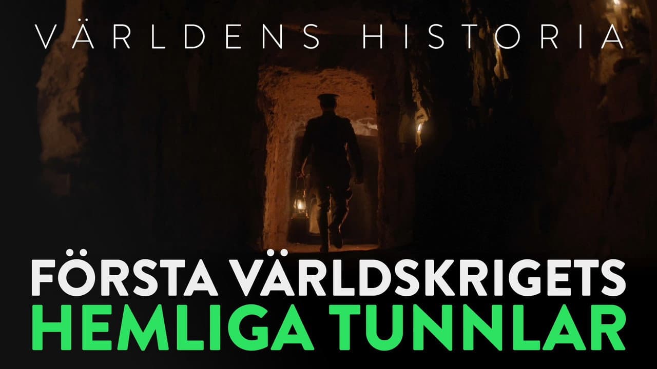 Arras 1917, l'histoire des tunneliers néo-zélandais