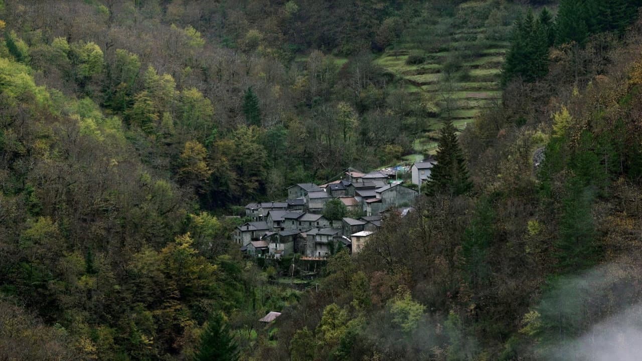 Bosco