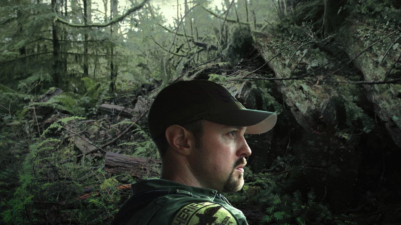 Dark Woods Justice