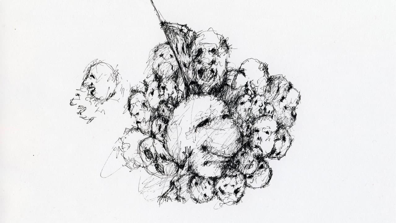Forgetter Mechanism