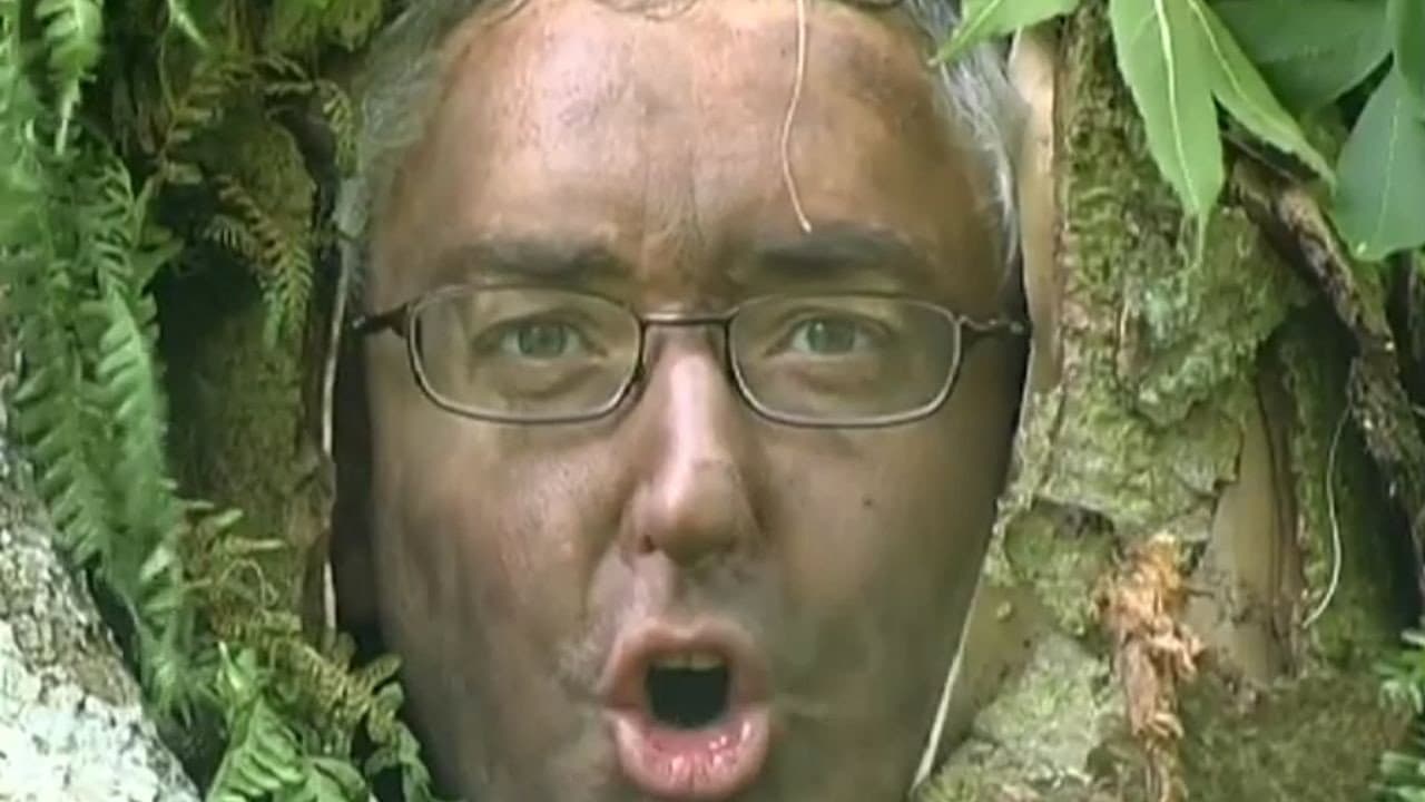 The Last Babacus