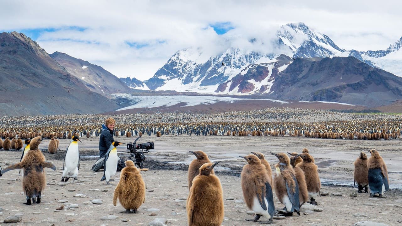 Wildlife: Resurrection Island