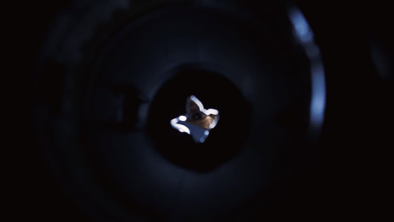 Disposal