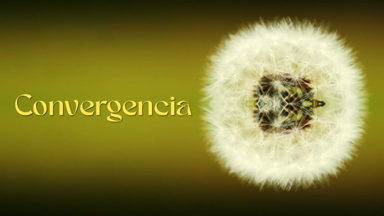 Convergencia - Un Videopoema en Armonía Elemental