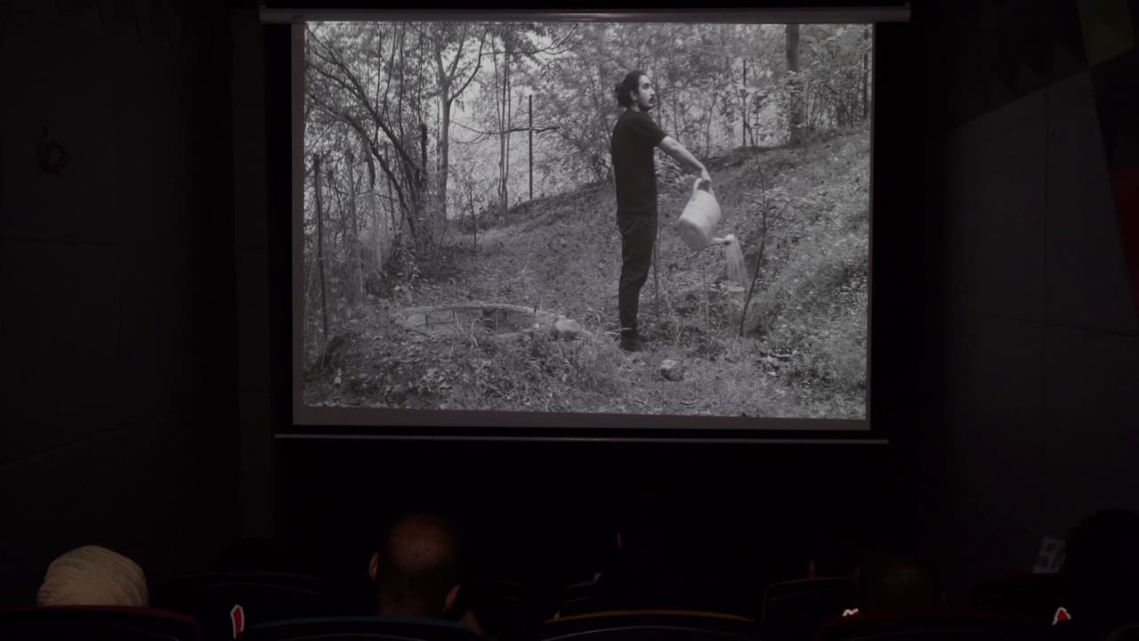 Magic in cinema