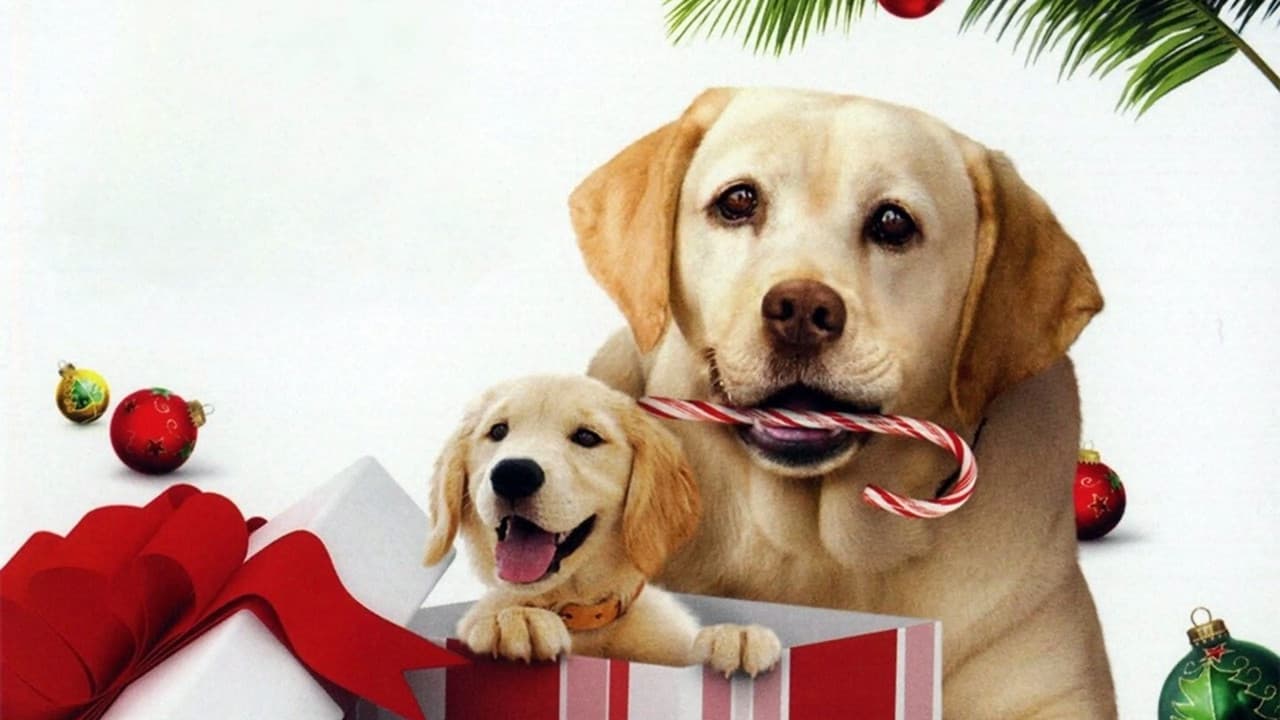 The Dog Who Saved the Holidays