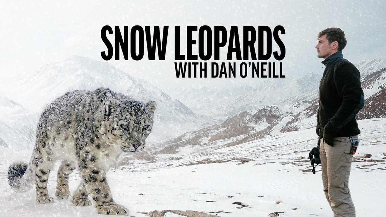 Snow Leopards with Dan O'Neill