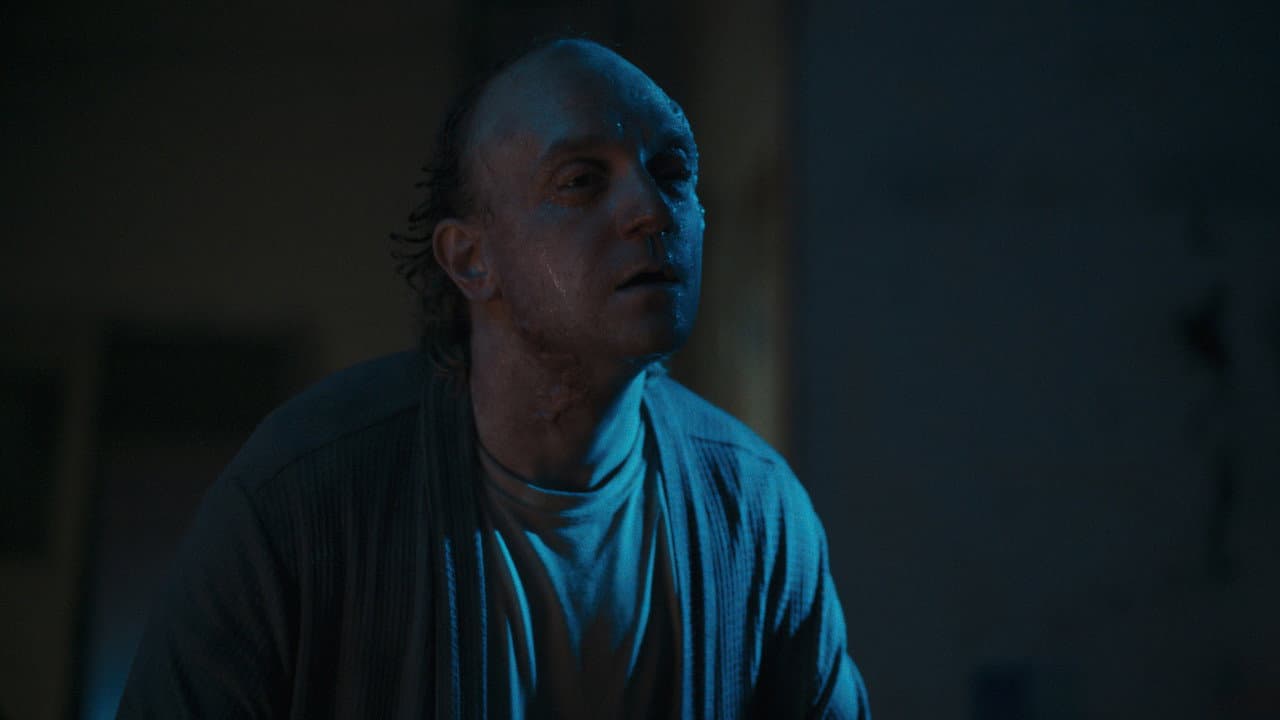 FESTER