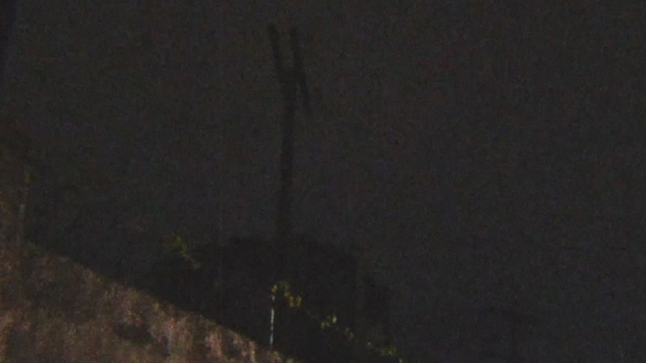 Abarcia