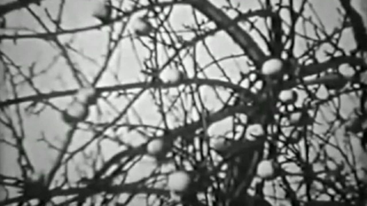 Apples of Chernobyl