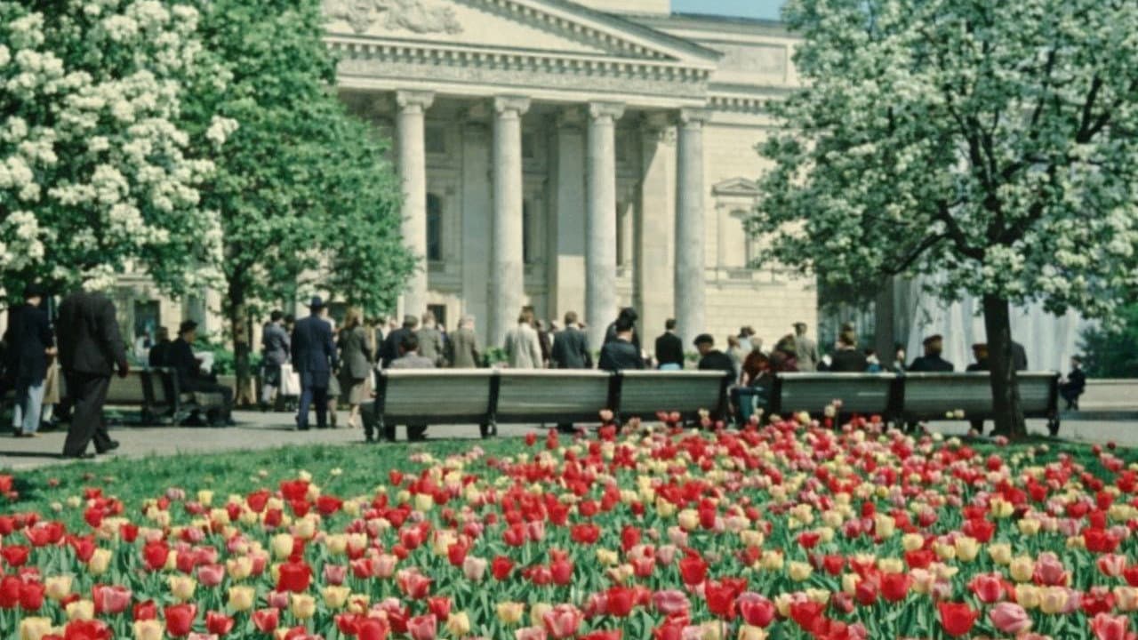 About Moscow and Muscovites