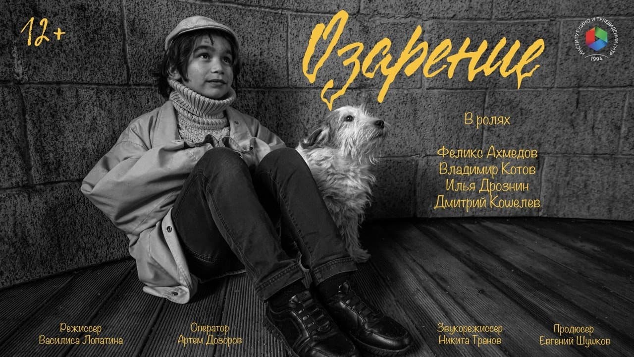 Insight