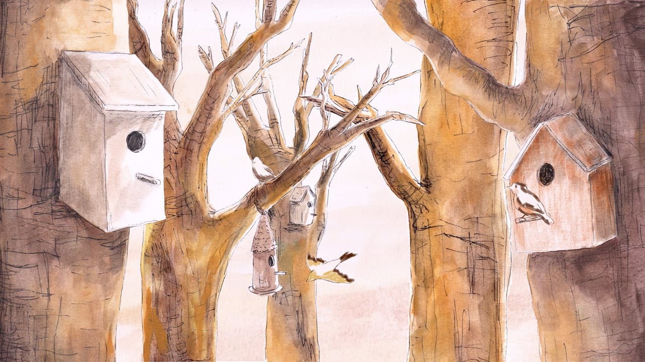 Le chant des oiseaux
