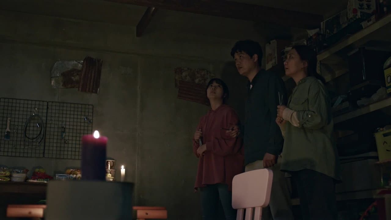 The Basement