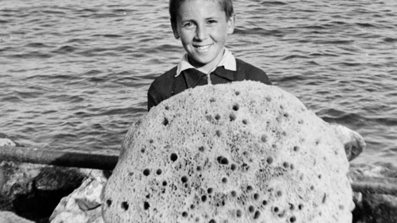 Kalymnos, the island of sponge divers