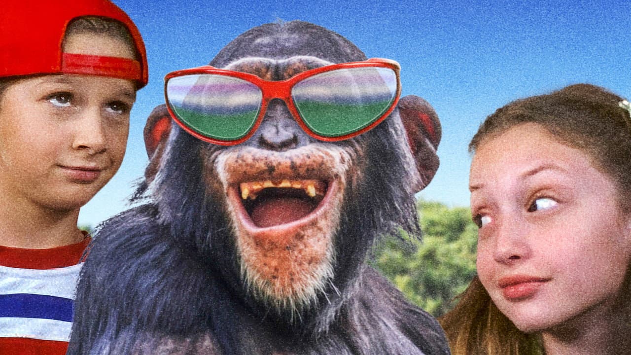 Monkey Business