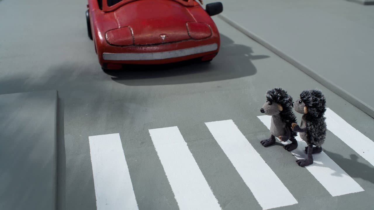 Hedgehogs and The City
