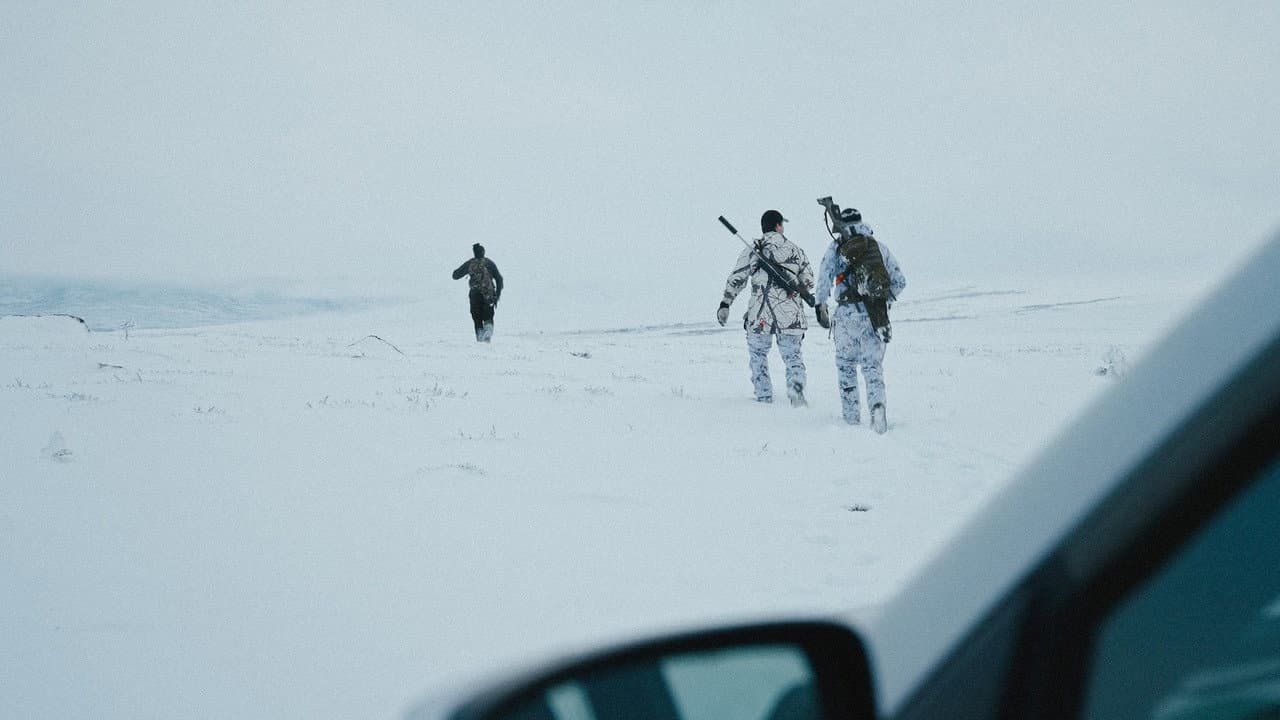The Wolf War