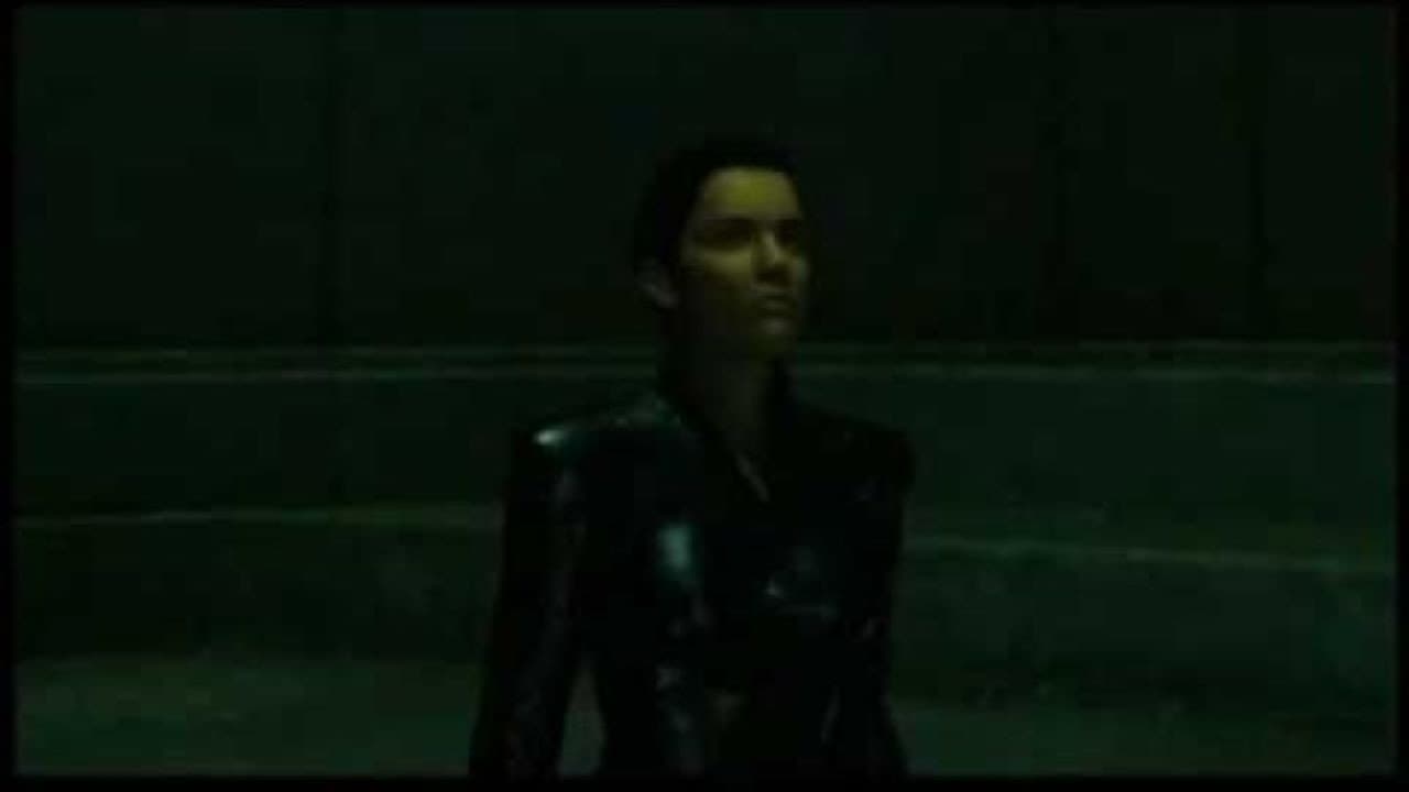 The Animatrix: Aki Ross