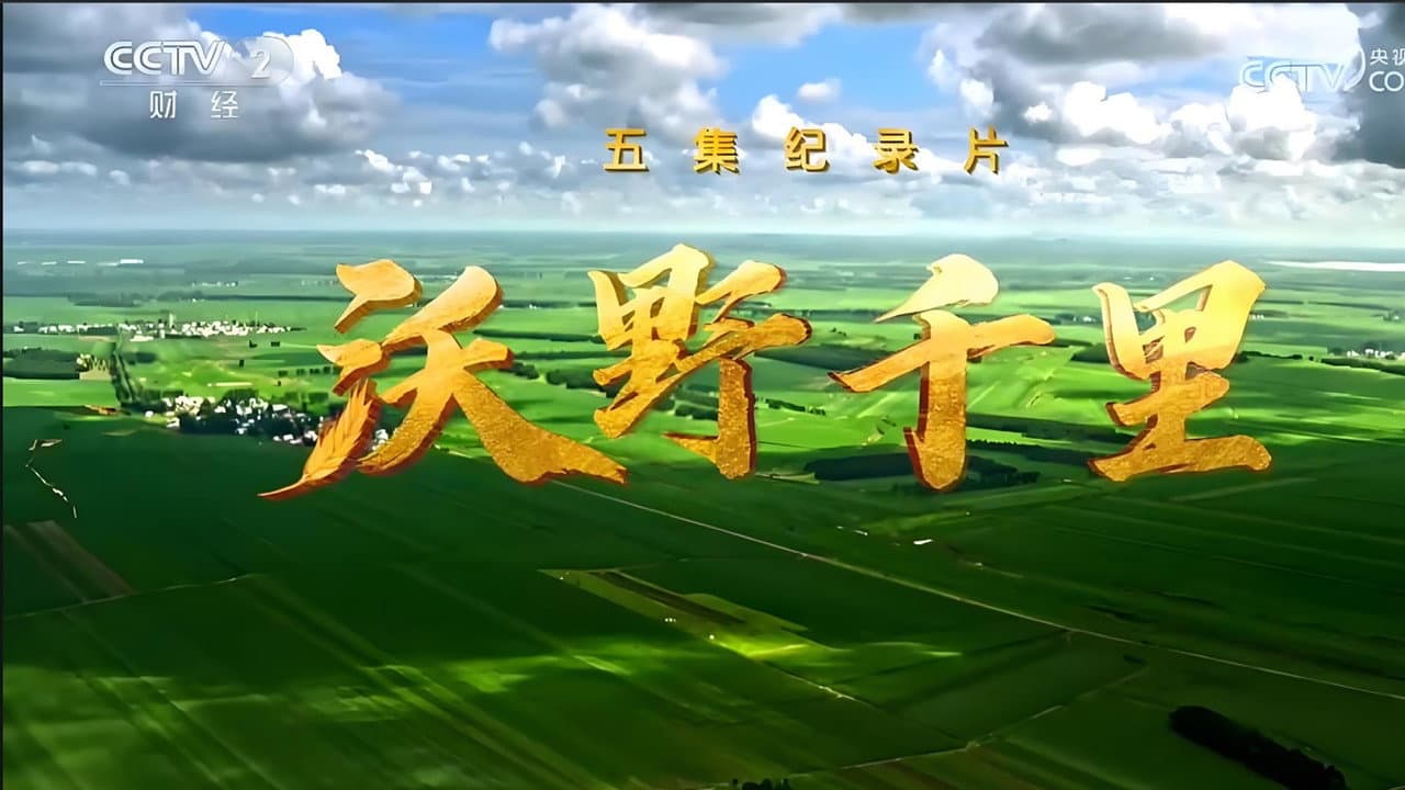 沃野千里